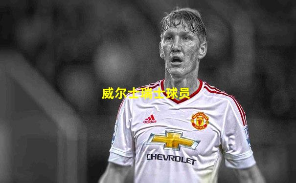 威尔士瑞士球员
