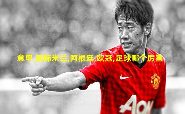 意甲,国际米兰,阿根廷,欧冠,足球哪个厉害