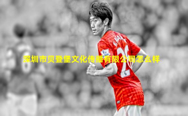 深圳市贝登堡文化传播有限公司怎么样