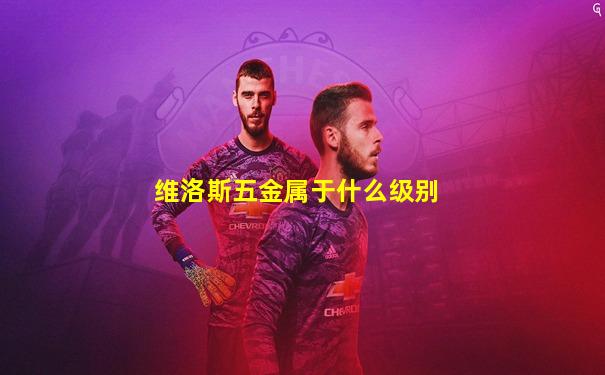 维洛斯五金属于什么级别