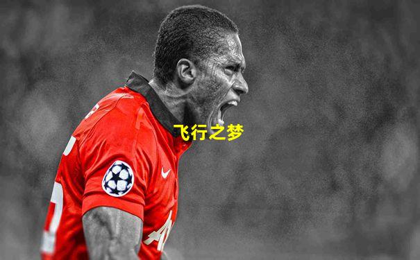 飞行之梦